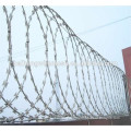 Protective good performance razor barbed wire mesh for Prison fence